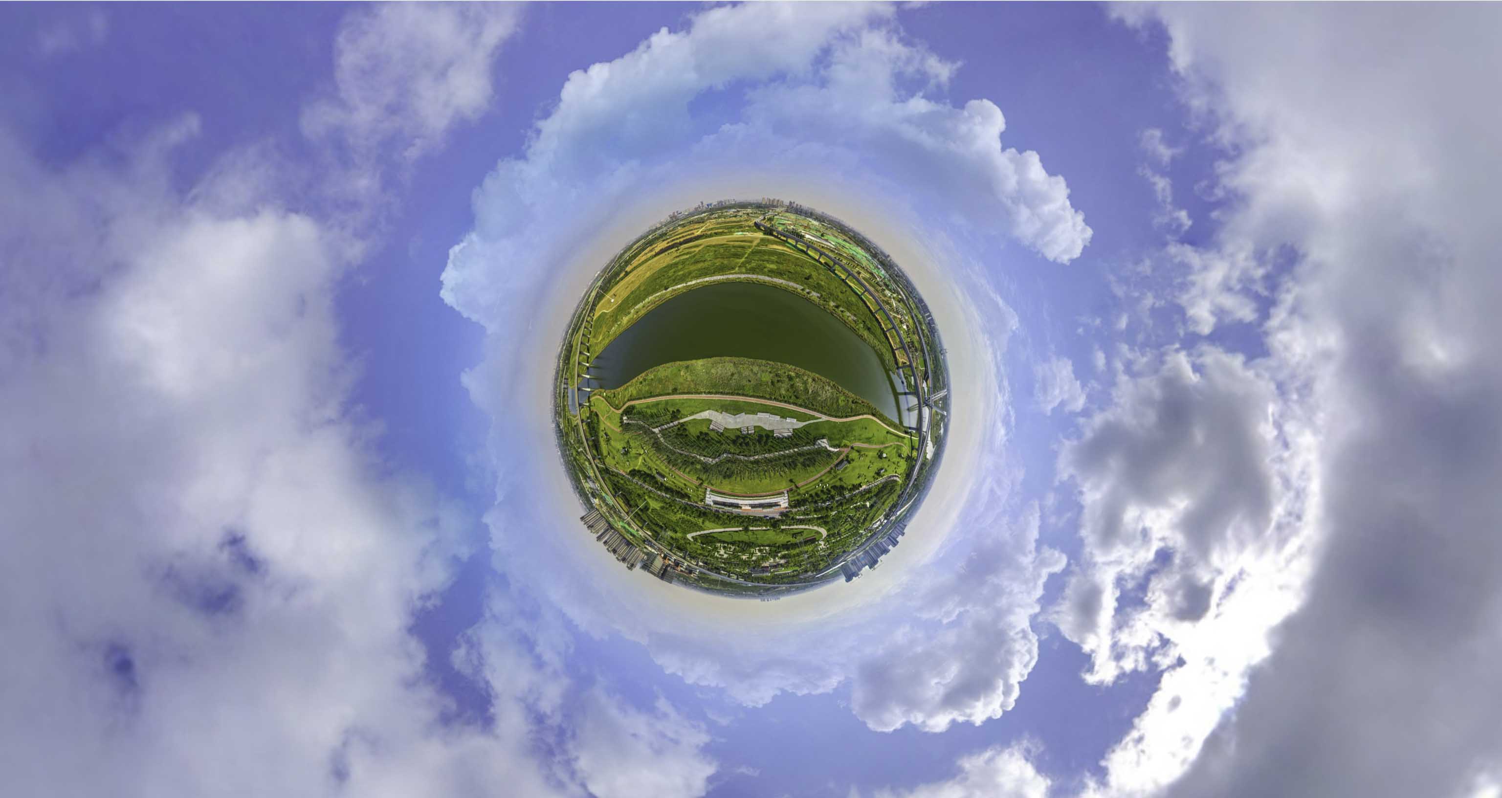 油菜花-驚艷半生的花海仙境